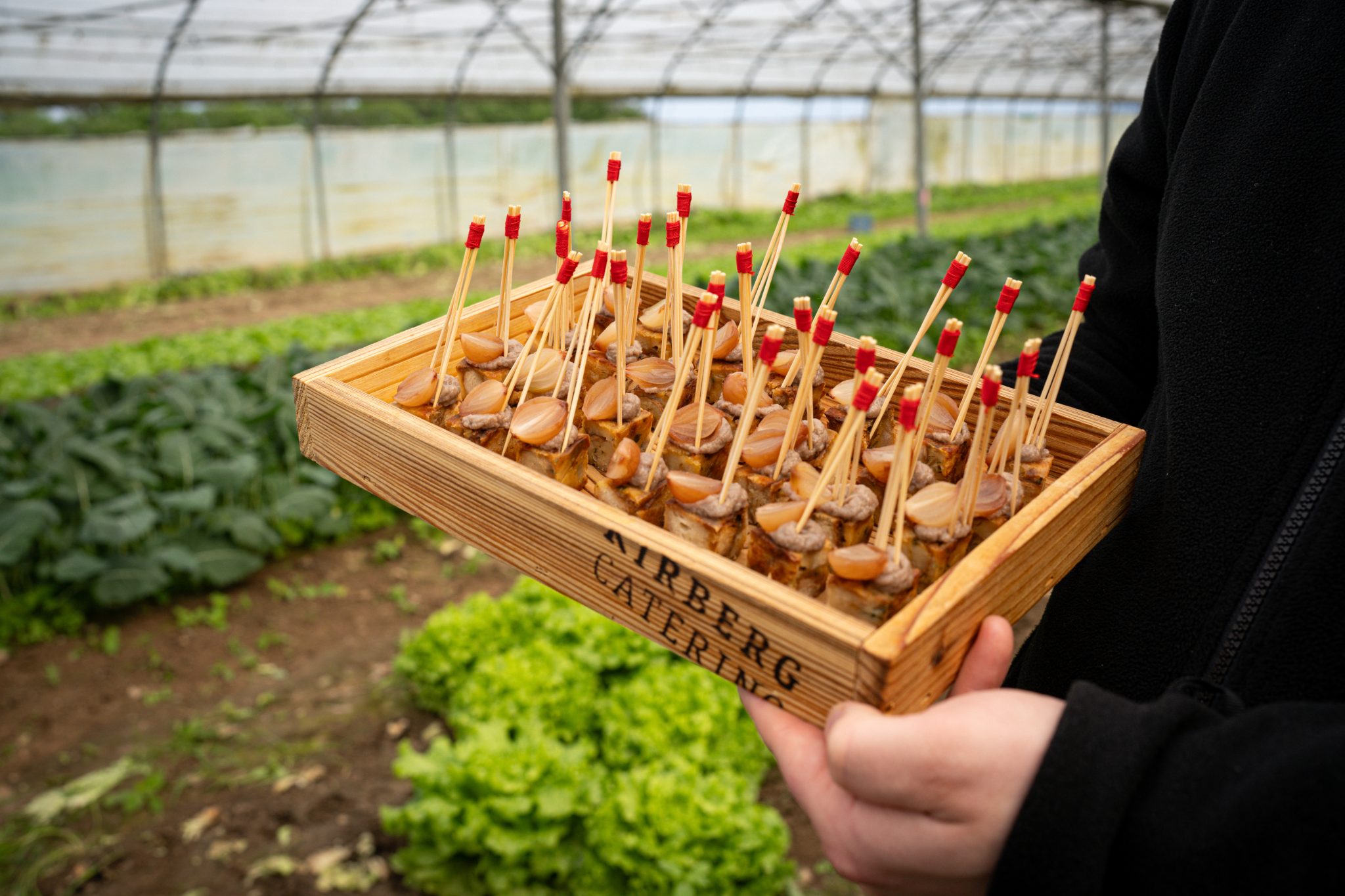 Profilbild Kirberg GmbH 51063 Köln